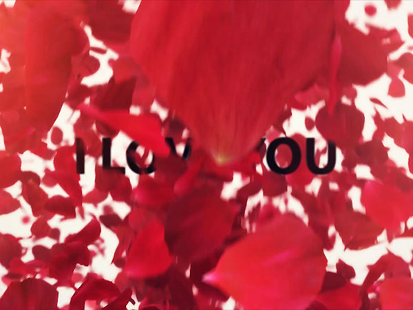 ウエディングムービー　プレ花嫁