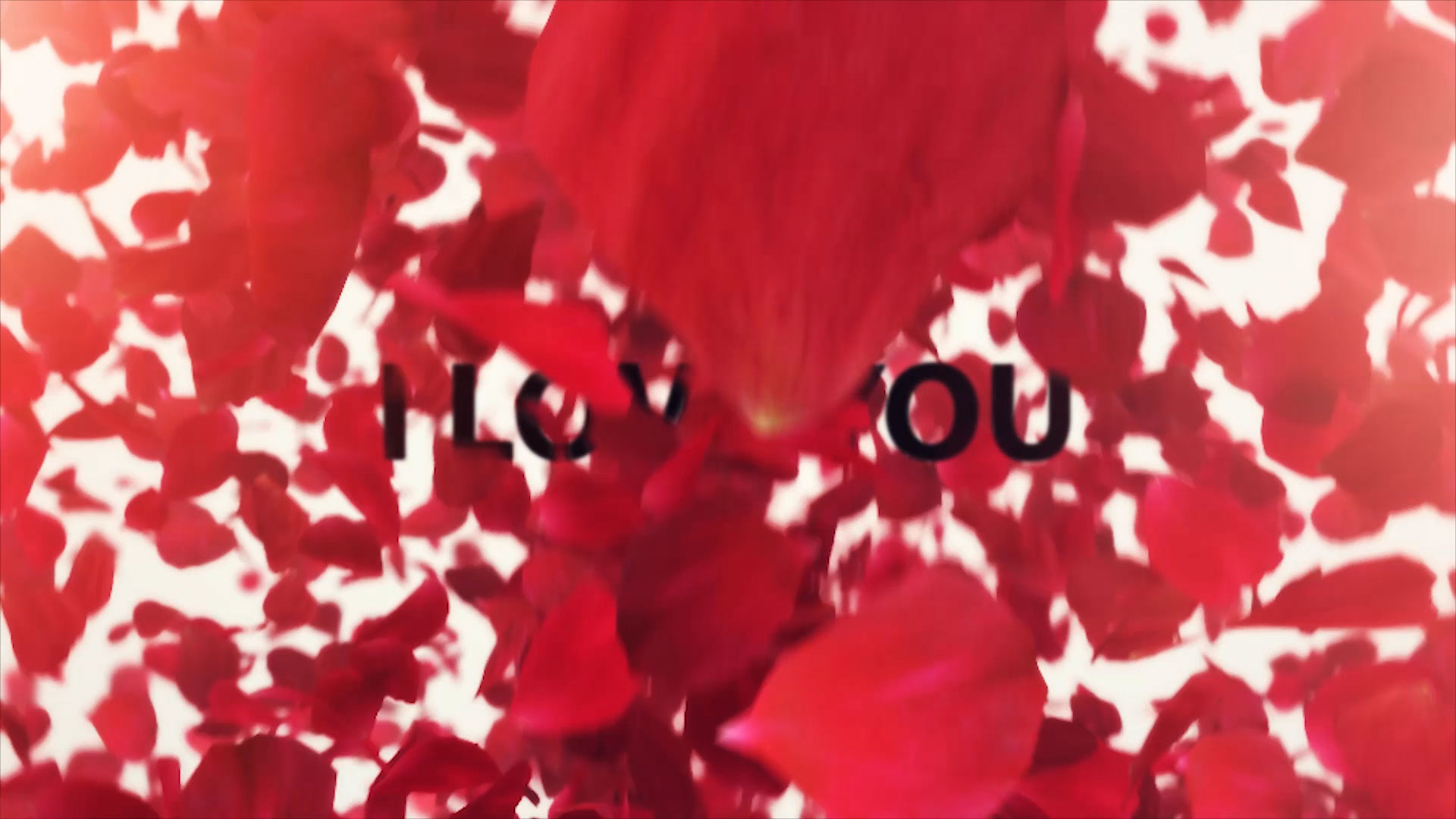 結婚式　動画　プレ花嫁