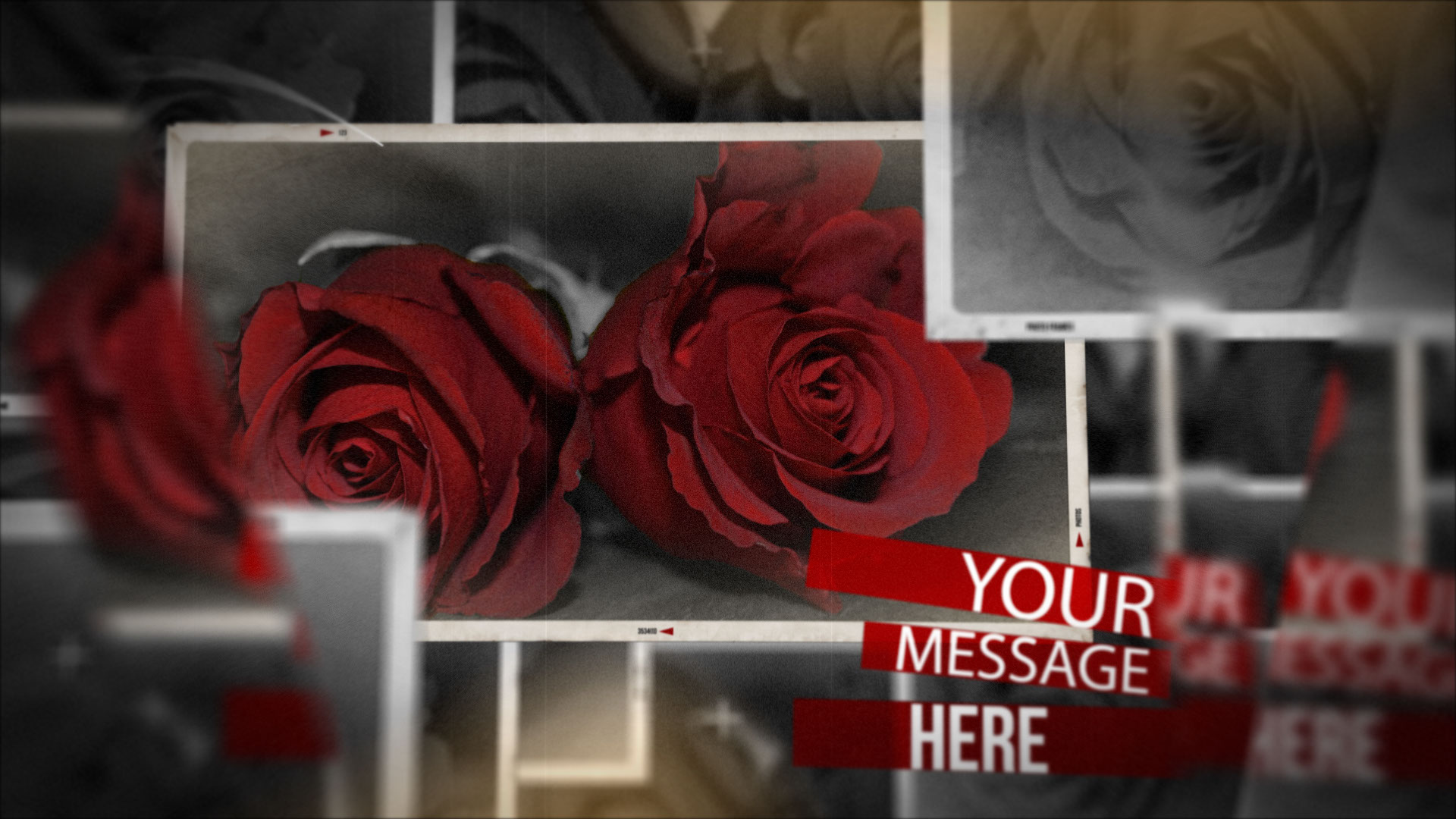 結婚式　動画　プレ花嫁