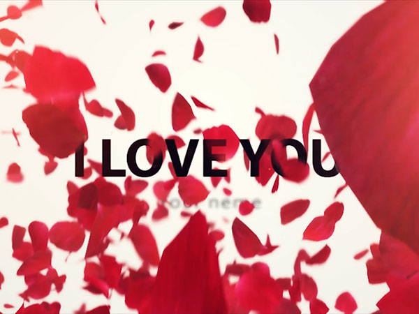 ウエディングムービー　プレ花嫁