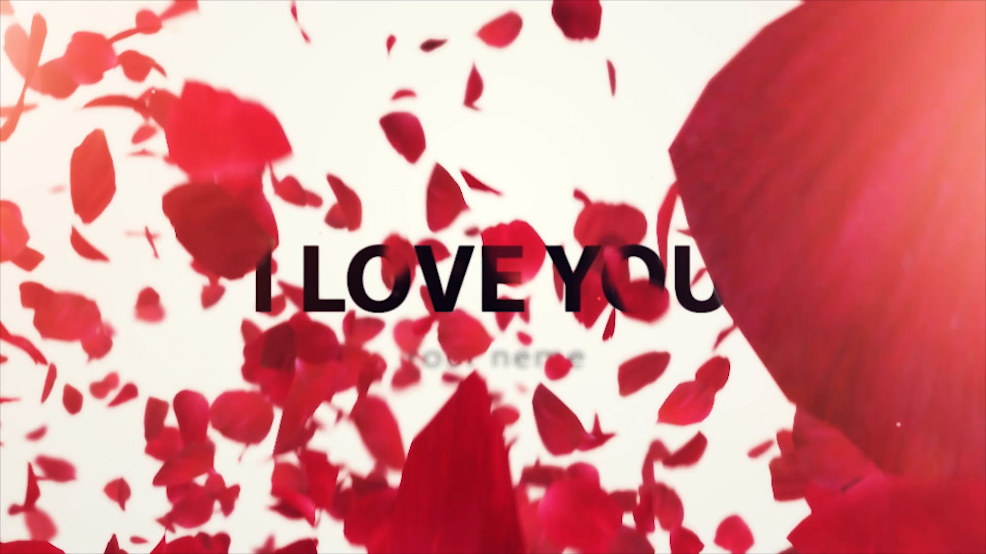 結婚式　動画　プレ花嫁